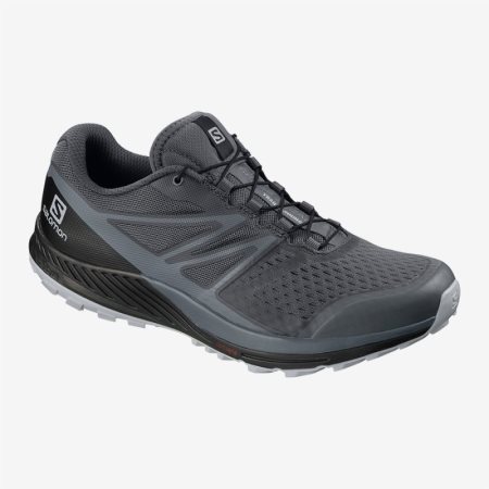 Scarpe Trail Running Salomon SENSE ESCAPE 2 Uomo Profondo Grigie IT 3-E74